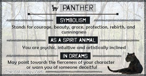 Panther Meaning and Symbolism | The Astrology Web Panther Spiritual Meaning, Black Panther Spirit Animal Meaning, Panther Spirit Animal Meaning, Black Panther Symbolism, Black Panther Meaning, Jaguar Spirit Animal Meaning, Black Panther Spirit Animal, Meditation Signs, Panther Symbolism