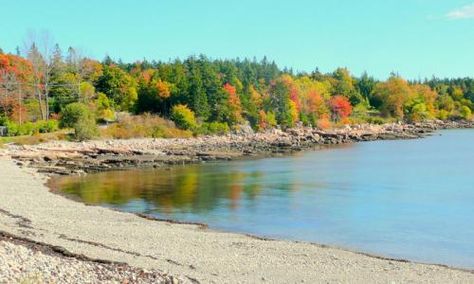 Seal Cove Maine, Maine Farmhouse, Acadia Maine, Peaks Island, Where I Live, Acadia National Park, National Forest, Travel Usa, Travel Guide