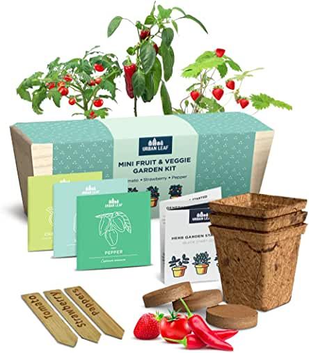 Amazon.ca : Herb Garden Kit Indoor – Indoor Herb Garden Starter Kit – Dwarf Tomato, Chili Pepper and Eggplant Plant Seeds – Sturdy Reusable Planter, Enriched Soil Herb Garden Gift, Kit Adidas, Tomato Chili, Wine Bottle Garden, Best Herbs To Grow, Hanging Herbs, Herb Garden Kit, Indoor Herb, Kitchen Herbs