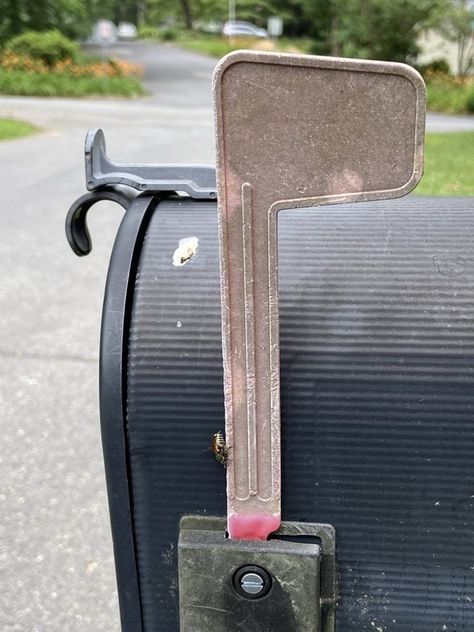 Five Frugal Things | a mailbox flag refresh Paint Mailbox, Short Bookshelf, Mailbox Flags, Random Hacks, Mailbox Flag, Painted Mailboxes, Red Spray Paint, Flag Holder, Black Spray Paint