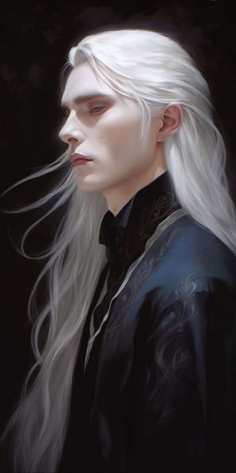 Character Inspiration White Hair, White Hair Fantasy Art Male, Prince Seere, White Hair Men, Male Elf, Long White Hair, Fantasy Male, Arte Fantasy, 판타지 아트