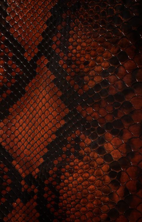 Snake Skin Wallpaper, Shape Aesthetic, Lion Live Wallpaper, Face Tattoos For Women, Thorpe Park, Snake Wallpaper, Brown Snake, Black Inspiration, Face Tattoos