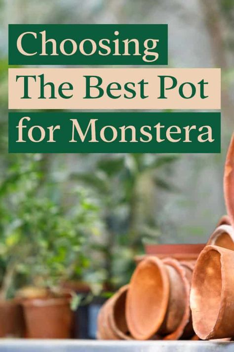 Potting Monstera Deliciosa, Pot For Monstera Plant, Best Pot For Monstera, Monstera Planter Ideas, Monstera Plant Pot Ideas, Monstera Pot Ideas, Monstera Plant Pot, Potted Monstera Plant, Monstera Pot