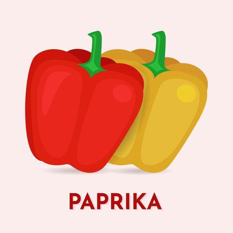 Paprika cartoon icon vector illustration. Hand drawn paprika illustration Vector paprika icon concept isolated. Paprika Illustration, Cartoon Icons, Illustration Vector, Vector Art, Hand Drawn, Vector Free, Vector Illustration, Royalty Free, How To Draw Hands