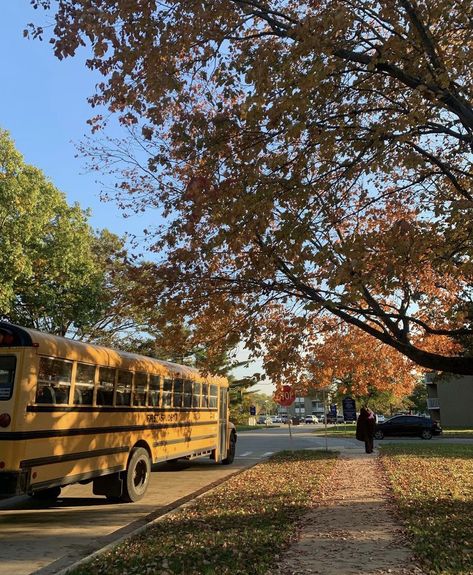 Quiet Fall Aesthetic, September Aethestic, Fall Aesthetic September, Romanticize Autumn Aesthetic, Fall Acedamia Aesthetic, Back To School Autumn Aesthetic, Early Fall Morning Aesthetic, Beginning Of Fall Aesthetic, Fall Aesthetic Yellow