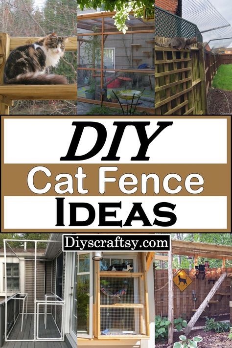 Diy Catios For Cats Outside, Diy Cat Fence, Cat Playground Diy, Diy Cat Enclosure, Cat Playground Outdoor, Cat Climbing Shelves, Cat Fence, Cats Outside, Cat Patio