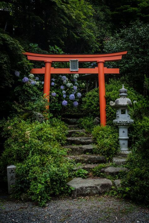 Image Zen, Japanese Gate, Japanese Forest, Japanese Shrine, Japan Landscape, Torii Gate, Japanese Temple, Japanese Garden Design, Japanese Landscape