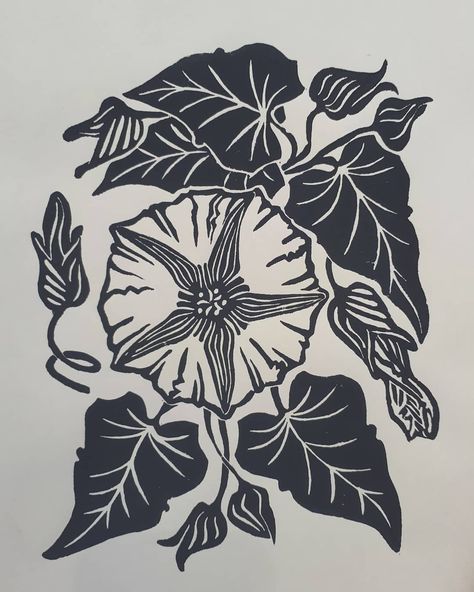 Morning Glory Tattoo, Print Lino, Airy Fairy, Botanical Tattoos, Lino Art, Botanical Tattoo, Lino Cut, Print Inspiration, Botanical Drawings