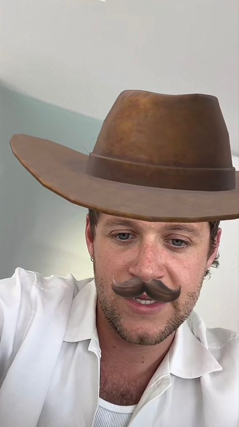 Irish Princess, Niall Horan, One Direction, Cowboy, Music