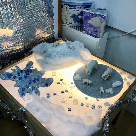 Arctic Animals Preschool Activities, Preschool January, Arctic Animals Preschool, Polar Bear Theme, Butterflies Classroom, Reception Classroom, Toddler Projects, Early Years Classroom, Thema Winter