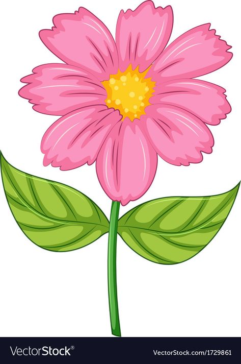 Pink Flowers Cartoon, Pink Flower Drawing, Cute Flower Clipart, Flower Drawing For Kids, Flower White Background, Cute Flower Drawing, Flowers Cartoon, Sunflower Accessories, Pink Illustration