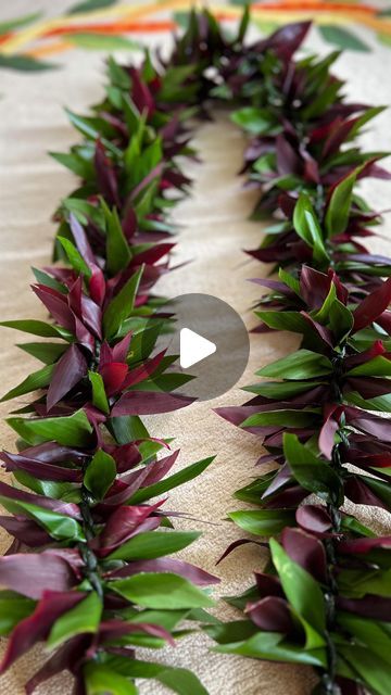 Oahu Local Floral Designer on Instagram: "Make a full ti leaf maile lei with us using fresh red and green ti leaves.   Disclaimer: Kaululani makes her ti leaf maile leis differently. She twists left and crosses over right. Others twist right and cross over left. You can twist the leaves in either direction you wish to do so, however make sure to cross over in the opposite direction in order to achieve the right look.   Mahalo for watching!" How To Make Flower Lei, How To Make Hawaiian Leis, Ti Leaf Lei How To Make, Teunga Tauolunga, Flower Lei Diy, How To Make Leis, Hawaiian Flower Arrangements, Ti Leaf Lei, Thanksgiving Flower Arrangements