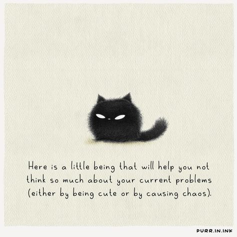 🐾🐾😽 Critter Drawing, Kitty Quotes, Black Cat Cartoon, Inspirational Animal Quotes, Cat Lover Quote, Cat Love Quotes, Cat Quote, Cat Attack, Cat Jokes