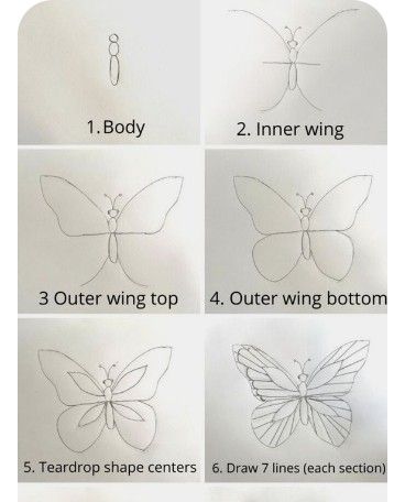 Butterfly And Bee Drawing, Butterfly Anatomy Drawing, How To Draw A Butterfly, Butterfly Anatomy, How To Draw Butterfly, Draw Butterfly, Draw A Butterfly, Stages Of A Butterfly, Music Drawing