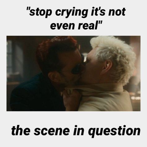 Shadwell Good Omens, No Nightingales Good Omens, Crawley X Aziraphale, Good Omens Fanfiction, Good Omens Quotes, Good Omens Funny, Good Omens Aesthetic, Good Omens S2, Good Omens Aziraphale