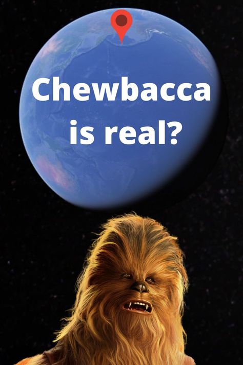 Scary things caught on Google Earth and Google Maps Street View. We are found Chewbacca on Google Earth! Watch video! Weird Places On Google Earth, Google Earth Creepy, Google Earth Funny, Scary Things, Scary Places, Weird Things, Google Earth, Chewbacca, Watch Video