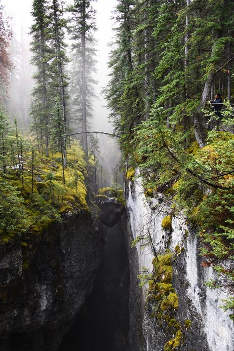 7 Day Itinerary for Touring the Majestic Canadian Rockies - Story at Every Corner 7 Day Itinerary, Canadian Forest, Newfoundland Travel, Maligne Lake, Yoho National Park, Travel Oklahoma, Landscape Concept, Nature Posters, New Forest