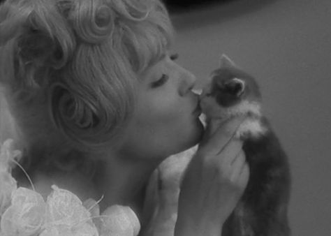 Screen grab of Corinne Marchand as Cleo kissing a kitten in Agnes Varda’s 1962 film Cleo From 5 To 7, Corinne Marchand, She And Her Cat, 1960s Movies, Agnes Varda, French New Wave, Septième Art, French Cinema, Love Film