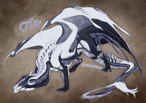 Dragon Reference, Dragon Oc, Mythical Dragons, Dragon Sketch, Cool Dragons, Fantasy Beasts, Creature Drawings, Dragon Pictures, Fantasy Creatures Art