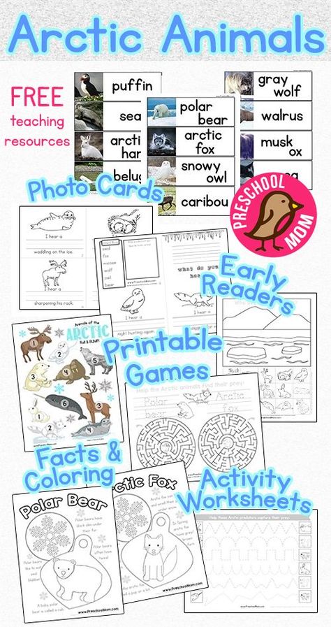 Free Arctic Animals Preschool Printables.  This free set of teeaching resources includes photo wordwall cards, early reader, bump game, activity worksheets, color and learn pages, crafts and more!  All free from PreschoolMom.com Arctic Animals Science Experiment, Antarctic Animals Free Printables, Arctic Animal Activities, Arctic Animals Printables, Preschool Printables Free, Polar Animals Preschool, Arctic Animals Activities, Animal Preschool, Preschool January