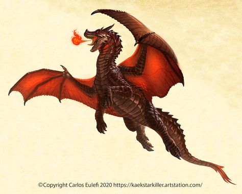 European Dragon, Dragon Reference, Dragon Birthday Parties, Medieval Dragon, Fire Breathing Dragon, Dnd Dragons, Dragon Sketch, Dragon Rider, Legendary Creature