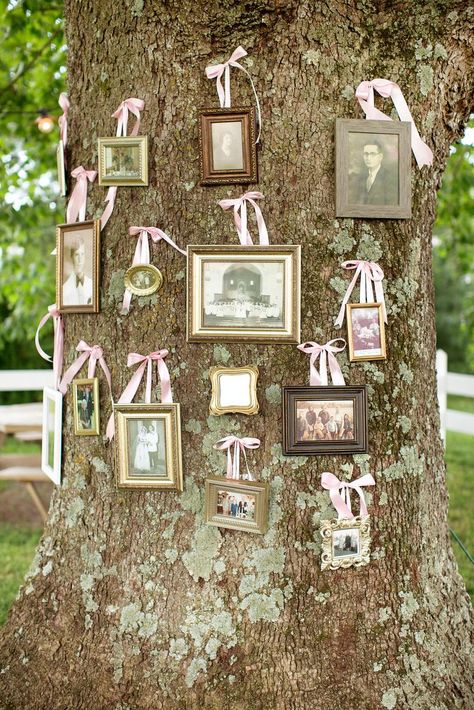 Maryland Farmhouse, Wedding Photo Display, Tie The Knot Wedding, Events Planner, Rustic Wedding Decorations, Display Family Photos, Katelyn James, Wedding Photo Ideas, Farmhouse Wedding