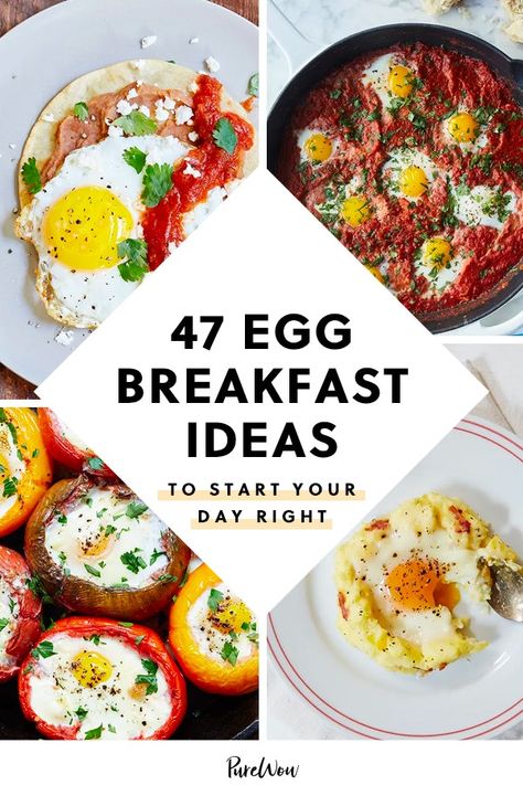 Egg Ideas For Breakfast, Fun Breakfast Ideas Healthy, Different Egg Breakfast Ideas, What To Eat With Eggs Breakfast, Vegetarian Egg Breakfast Recipes, Eggs For Brunch Ideas, Simple Egg Recipes Breakfast, Creative Healthy Breakfast, Easy Creative Breakfast Ideas