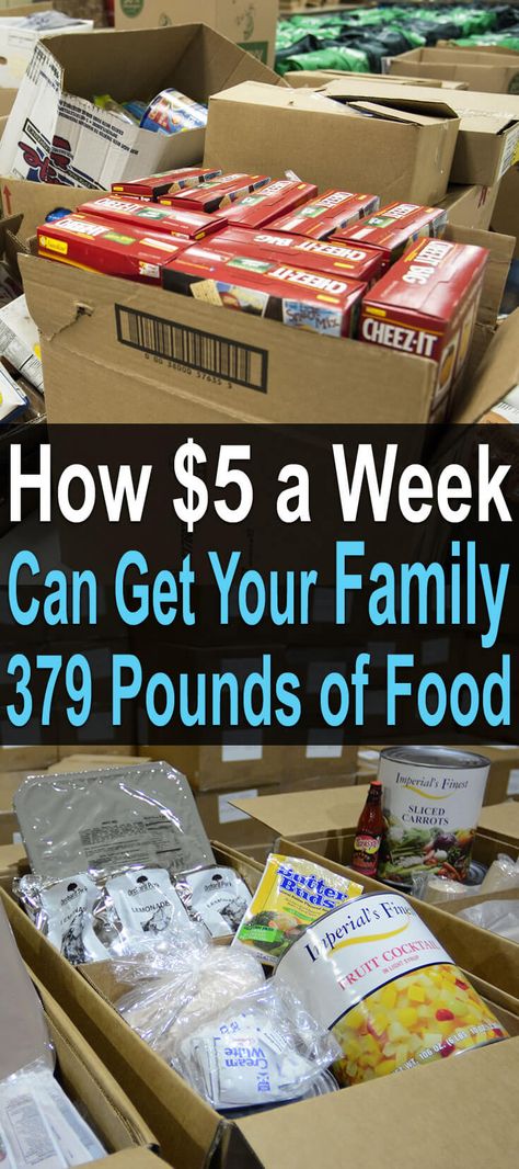 In this video, The Green Prepper proves that a little money and patience can lead to a huge stockpile of food. You just have to be consistent. Prepper Supplies, Emergency Preparedness Food Storage, Emergency Preparedness Food, Emergency Food Storage, Emergency Food, Emergency Preparation, Emergency Supplies, Grocery Budgeting, Food Supply