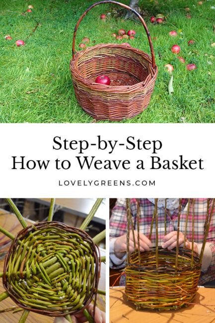 Hand Weaving Baskets, Homesteading Crafts, Simple Willow Weaving, How To Prepare Willow For Weaving, Weave A Basket, Willow Weaving Garden, Willow Pack Basket, Willow Weaving Sculpture, Lovely Greens