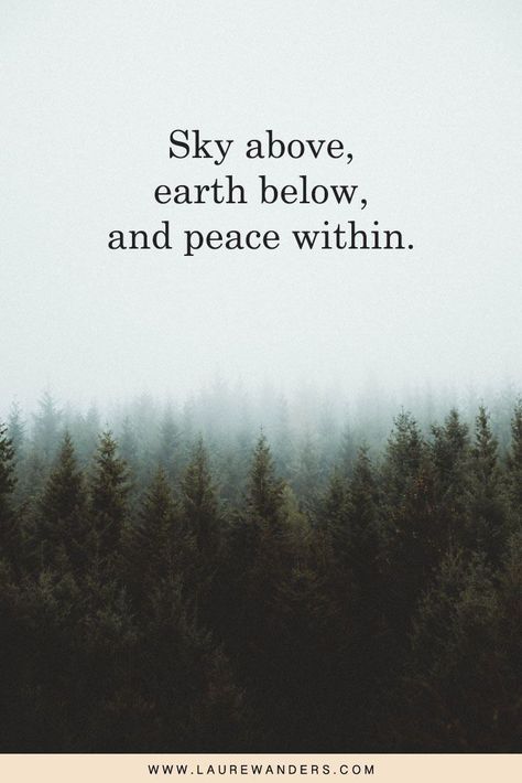 This post features some of the most beautiful nature quotes and captions. Whether for your Instagram picture or for inspiration. Short Nature Quotes, Nature Captions, Forest Quotes, Citation Nature, Nature Quotes Inspirational, Mother Nature Quotes, Quotes Nature, View Quotes, Best Travel Quotes