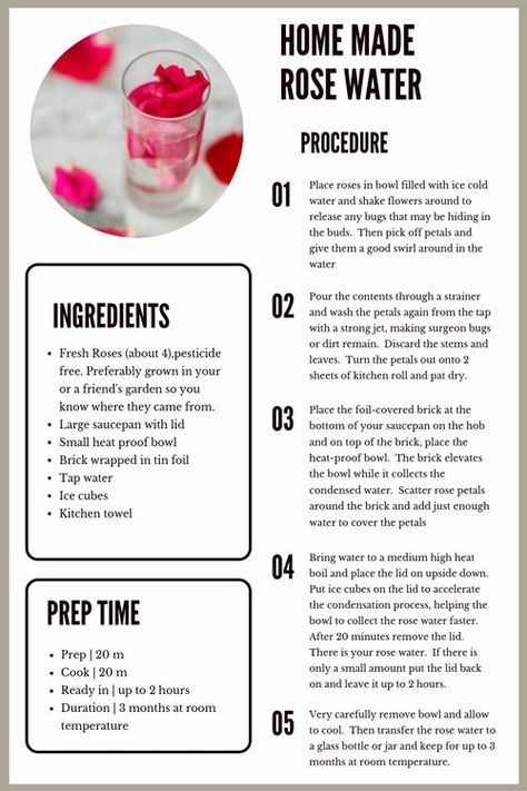 How To Make Rose Water, Rosewater Recipe, Rose Infused Oil, Benefits Of Rose Water, Homemade Rose Water, Rose Water Diy, Essential Oil Perfumes Recipes, Homemade Perfume, Essential Oils For Pain