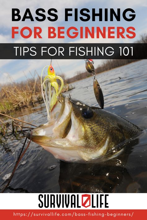 Whether you want to go bass fishing for enjoyment, or for food on the table, you’ll need to know the basics. Learning how to bass fish will help you to develop skills and posses basic awareness that is incredibly valuable. #survivallife #survival #preparedness #survivalist #prepper #fishing #bassfishing #spring Ice Fishing Tips, Fishing 101, Fishing For Beginners, Fly Fishing Tips, Bass Fishing Lures, Bass Fishing Tips, Fly Fishing Gear, Pike Fishing, Fishing Techniques