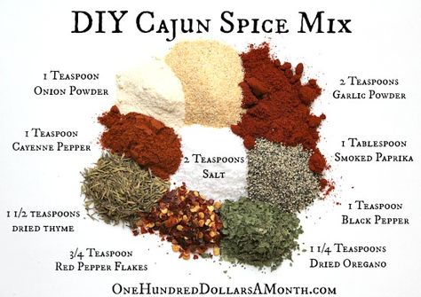 DIY Cajun Spice Mix Recipe | One Hundred Dollars a Month Cajun Seasonings, Cajun Spice Mix, Cajun Sauce, Homemade Seasoning, Cajun Spice, Homemade Spice Mix, Spice Mix Recipes, Diy Spices, Homemade Spices