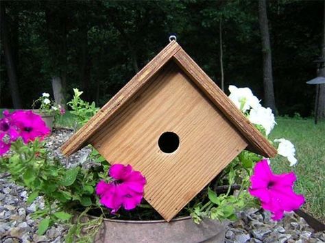 wren-birdhouse-plans Diy Bird Houses, Bird House Plans Free, Spring Diy Projects, Birdhouse Plans, Wren House, Bird Feeder Plans, Wren Bird, Bird Houses Ideas, Homemade Bird Houses