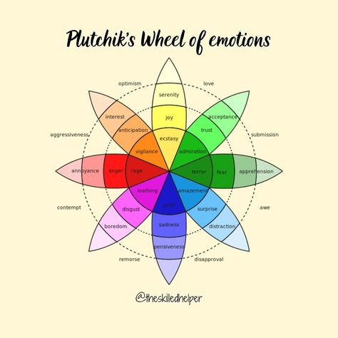 Lucy | Trainee Psychologist on Instagram: “There are many different emotions however, it is thought that there are 6-8 primary or basic emotions from which all other emotions are…” Different Emotions, Psychologist, Anger, Pie Chart, Instagram