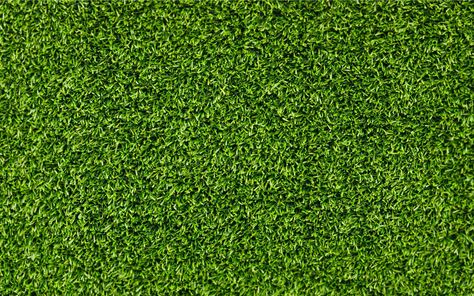 green grass #grass #texture #1080P #wallpaper #hdwallpaper #desktop Grass Texture Seamless, Grass Texture, Grass Vector, Grass Background, Grass Pattern, Grass Field, Artificial Turf, Material Textures, Printed Backdrops