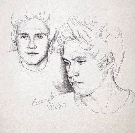 Niall Drawing Niall Fanart, Niall Horan Drawing Sketches, Niall Horan Drawing, 1d Drawings, 1d Fanart, One Direction Drawings, One Direction Art, Harry Styles Drawing, Amazing Drawings