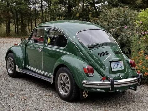 1970 Vw Beetle, 1970 Beetle, 1970 Volkswagen Beetle, Baja Beetle, Vw Beetle For Sale, Vw Baja Bug, Vw Baja, Beetle For Sale, Baja Bug