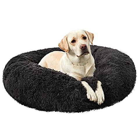 Gifts for Labradors & Gifts for Labrador Lovers - The Pet Supply Guy Soft Bean Bag, Dog Bed Medium, Plush Dog Bed, Round Dog Bed, Medium Dog Bed, Round Bed, Donut Bed, Designer Dog Beds, Donut Dog Bed