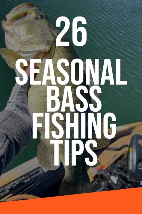 If you’re an avid bass fisherman, now is the time to get ready for the upcoming season and make sure your tackle and strategies are on point. With the right preparation, bass fishing can be an enjoyable and rewarding activity. In this article, we’ll provide you with 26 seasonal bass fishing tips to maximize your success this season. Fall Bass Fishing Tips, Bottom Fishing Rigs, Bass Fishing Tips, Fishing Gear, Bass Fishing, Fishing Tips, Bass, Fish