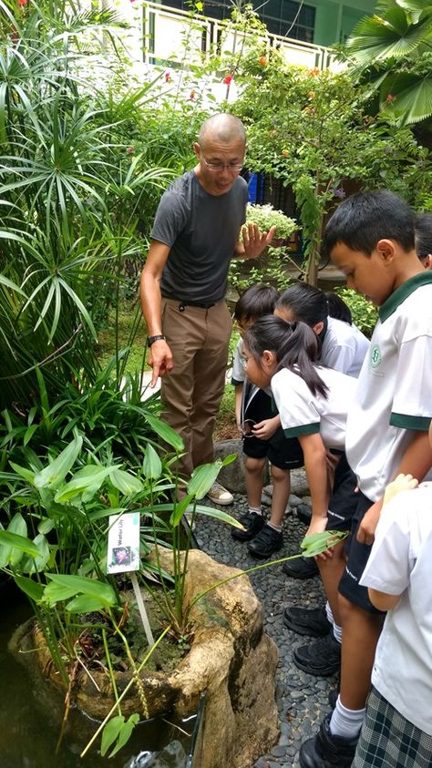 Greening Schools for Biodiversity - Community in Nature Initiative - Biodiversity - National Parks Board (NParks) Planting Layout, School Kitchen, School Journals, Creative Calendar, Natural Farming, Nature School, Cafe Branding, Children Sketch, Green School