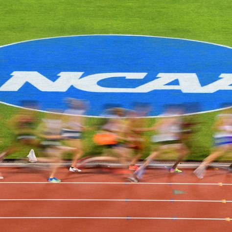 Ncaa Track And Field, Olympic Track And Field, Heptathlon, Athletics Track, Pentathlon, Track Team, Ncaa Championship, Track And Field Athlete, Distance Running