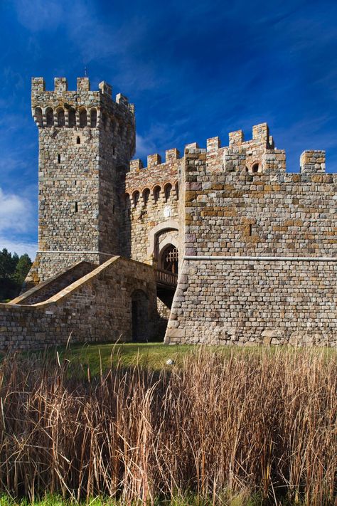 american castles Castles In America, Tuscan Castle, American Castles, Boldt Castle, Kilkenny Castle, Aztec Ruins, Castles To Visit, Castles In Ireland, Castle Mansion