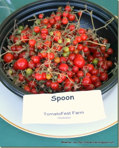 Spoon Tomatoes Spoon Tomato Recipe, Spoon Tomatoes, Sowing Seeds, Foods And Drinks, Carmel Valley, Tomato Recipes, The Festival, Amazing Food, Tomatoes