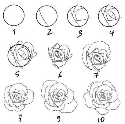 Aprende Paso a Paso Como Dibujar Rosas [ tutorial a lapiz ] Beautiful Rose Drawing, Flower Sketch Pencil, Rose Drawing Simple, Flower Drawing Tutorials, Chicano Drawings, Cool Pencil Drawings, Black Art Painting, Graffiti Characters, Rose Drawing