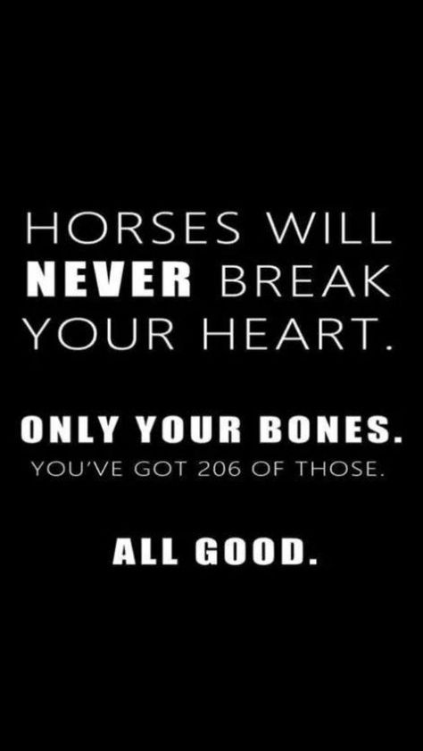 Horse Phrases, Cowgirls Quotes, Equestrian Wallpaper, Horse Sayings, Equestrian Memes, Equine Quotes, Cowgirl Quote, Horse Quotes Funny, Horse Jokes