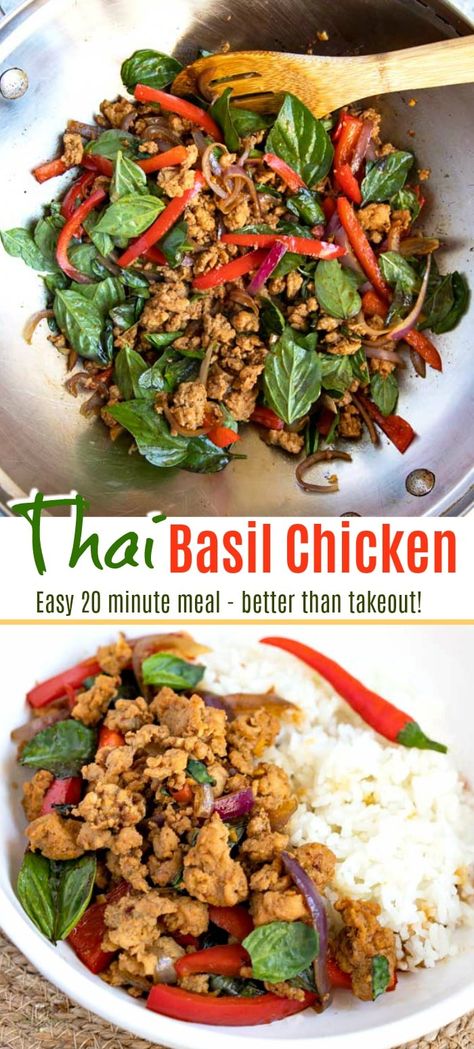 This quick and easy Thai Basil Chicken recipe is budget friendly, light and full of flavor! Ground chicken, veggies and basil are stir fried in the tastiest thick savory sauce! #stirfry #easy #healthy #ground #lowcarb #Thaifood Thai Chicken Basil Recipes Stir Fry, Thai Basil Turkey, Asian Basil Recipes, Basil Chicken Recipe Healthy, Ground Turkey Basil Recipes, Chicken Thai Basil, Thai Basil Chicken Healthy, Thai Basil Chicken Stir Fry, Thai Ground Turkey