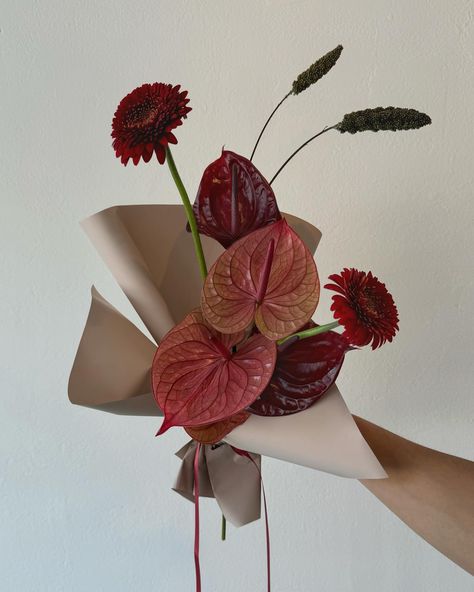 Cherry cola anthurium wrap 🍒In my petite bouquet era Red Anthurium Centerpiece, Anthurium Centerpiece, Anthurium Bouquet, Petite Bouquet, Valentine Flowers, Anthurium Flower, Cherry Cola, Valentines Flowers, Mood Board