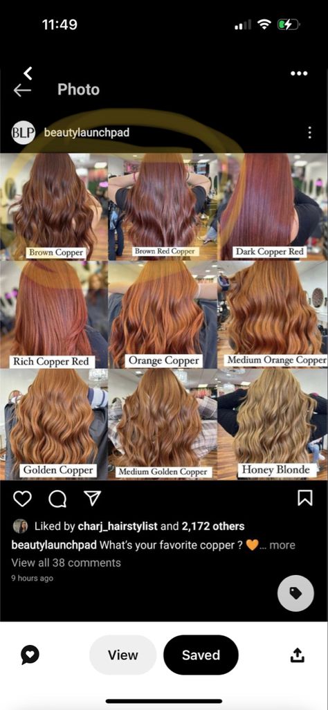 Copper Shades Hair, Copper Dye On Brown Hair, Different Types Of Ginger Hair, From Brown To Copper Hair, Shades Of Ginger Hair Chart, Different Copper Hair Colors, Ginger Hair On Brown Hair, Brown Hair To Ginger, Honey Brown Red Hair