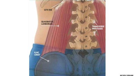 Anatomy 101: Understand Your Quadratus Lumborums (QLs). Relieve hard-to-release back tension by unlocking your QL muscles. Back Muscles Anatomy, Ql Muscle, Anatomy 101, Muscles Anatomy, Side Angle Pose, Psoas Release, Triangle Pose, Yoga Anatomy, Corpse Pose